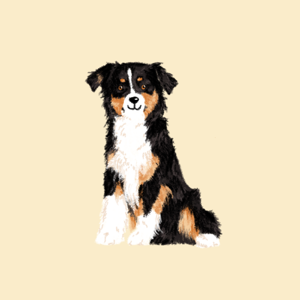 Dessin personnalisé - animal assis